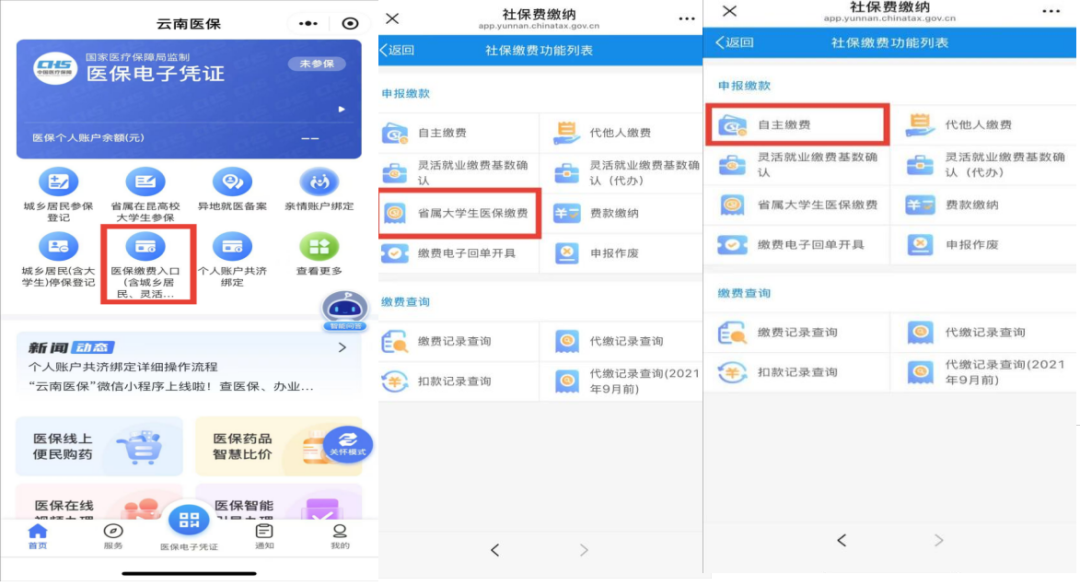 政策|医保护航 毕业守护——云南医保致2025届高校毕业生的一封信 第 2 张 政策|医保护航 毕业守护——云南医保致2025届高校毕业生的一封信 第 2 张