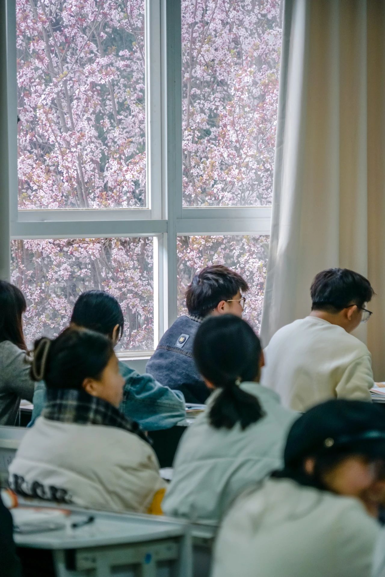 beat365平台官方网站春季学期开学! 第 6 张 beat365平台官方网站春季学期开学! 第 6 张